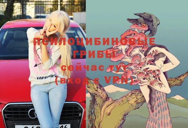 марки nbome Белокуриха