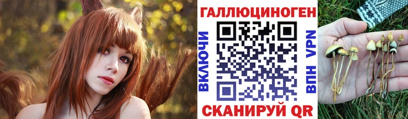 Псилоцибиновые грибы мицелий  Яранск 